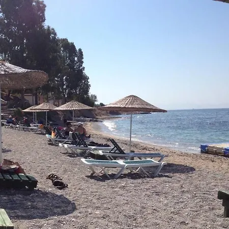 Family House - Pool And Beach Дом отдыха *