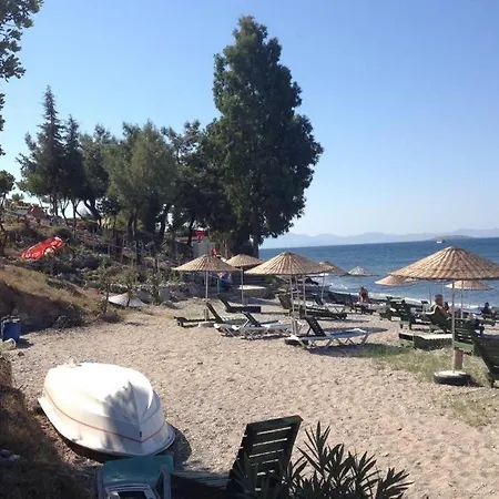 Family House - Pool And Beach